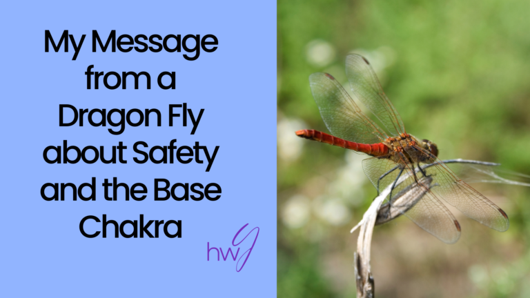 My message from a dragon fly about safety and the base chakra and a red dragon fly on a weed