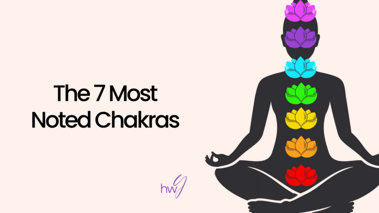 The 7 most noted chakras. Image of silhouette with chakra lotus flowers in chakra colors